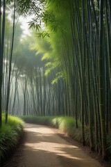 Fototapeta premium arafed view of a path through a bamboo forest with a bench
