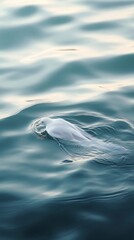 Naklejka premium Mysterious creature swimming beneath the calm waters during twilight