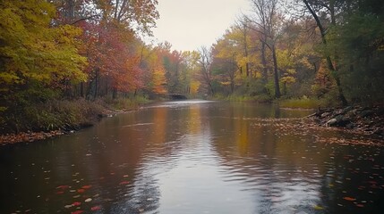 Fototapeta premium Serene autumn landscape, peaceful river reflecting vibrant fall foliage, ideal for nature-themed projects or relaxation.