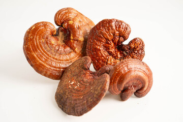 Lingzhi or Reishi mushroom with capsules, organic natural healthy food.