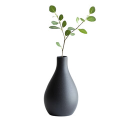 A single sprig of green leaves sits in a dark grey ceramic vase against a black background creating a simple yet elegant image.
