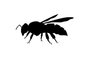 Obraz premium Bee pollination activity garden nature illustration outdoor environment close-up view importance of biodiversity