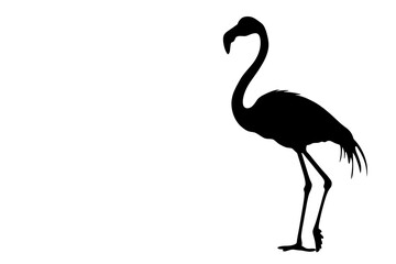 Obraz premium Elegant flamingo silhouette in minimalist design creative studio graphic art artistic perspective