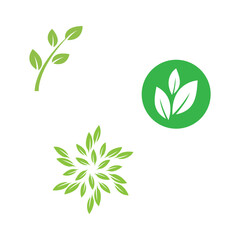 Green leaf logo vector template element symbol design