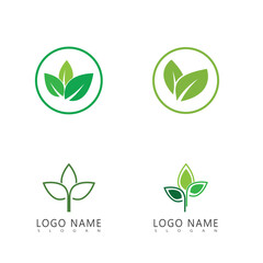 Green leaf logo vector template element symbol design