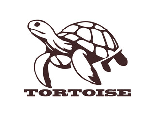 turtle silhouette vector, turtle illustration, turtle logo background