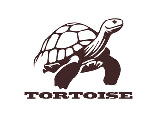 turtle silhouette vector, turtle illustration, turtle logo background