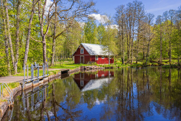 Fototapety na wymiar - Fototapeta24.pl