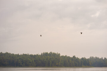 travel and people activity concept with cloud and sky  with bird and mountain and lake on foreground
