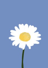 daisy against blue sky wallpaper
