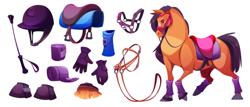Equestrian items and brown horse - riding gear, helmet and cloth saddle, leather bridle, protection boots and riding gloves, grooming brush. Cartoon horseback sport and training accessories.