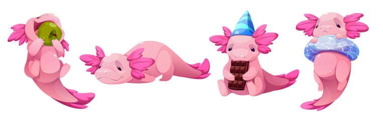 Cute pink axolotl mascot collection - eating green fruit, relax lying down, holding chocolate bar in birthday hat, wearing swimming ring. Cartoon adorable cartoon character poses for sticker set.
