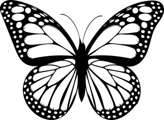 butterfly silhoutte vector illustration