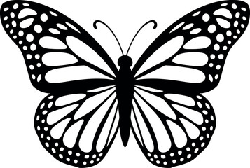 butterfly silhoutte vector illustration
