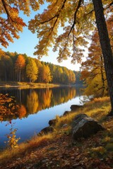 trees are in the background