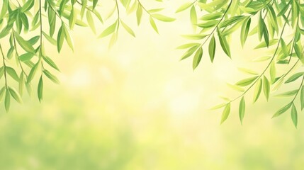 Fototapeta premium Delicate willow branches in fresh green, soft morning light, serene and minimalist Qingming Festival scene.