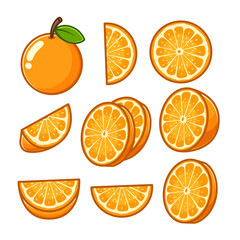 a variety of oranges cut into shapes and arranged in different positions