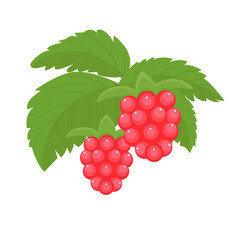 Raspberry isolated on a white background. Red berries and green leaves in flat style. Vector illustration, colored icon, design element.
