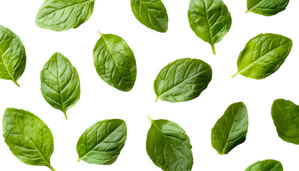 Fresh spinach leaves scattered on black background, food photography, healthy eating