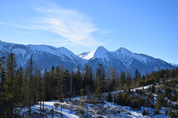 Majestic snow-covered high Tatras rise above the dense evergreen pine forest, breathtaking alpine scene under the clear blue sky. Wilderness and tranquility. Skiers, hikers, adventure lovers. 