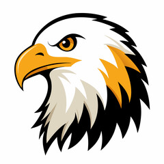 Obraz premium bald eagle vector illustration