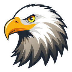 American bald eagle