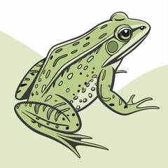 green frog on a leaf