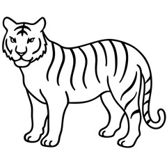 vector illustration of tiger