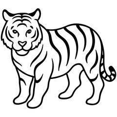 vector illustration of a white tiger