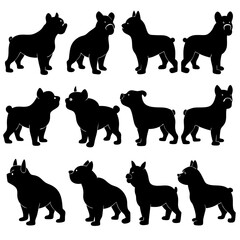 set of animals silhouettes