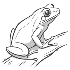 frog on a leaf
