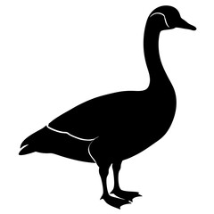 Vector illustration of a goose