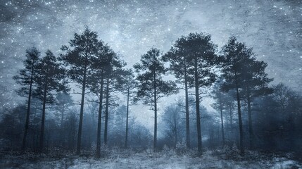 Obraz premium Enchanted Night Forest Mystical Winter Trees Under Starry Sky