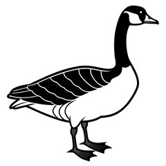 goose isolated on white