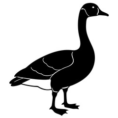 goose isolated on white