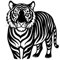 tiger illustration