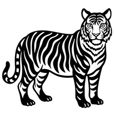 tiger vector illustration