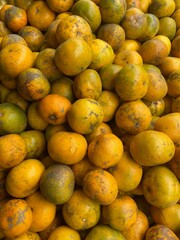 Vibrant orange fruits ripened to perfection,piled together and displaying colorful textures and fresh appeal.