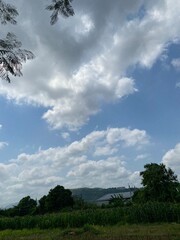 Obraz premium Lush green fields and tree-lined landscapes beneath a picturesque sky with clouds and sunlight. A peaceful and tranquil countryside scene perfect for showcasing rural beauty and natural serenity.