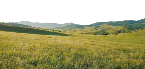 Scenic countryside landscape with grassy fields and distant hills, isolated on transparent cutout background
