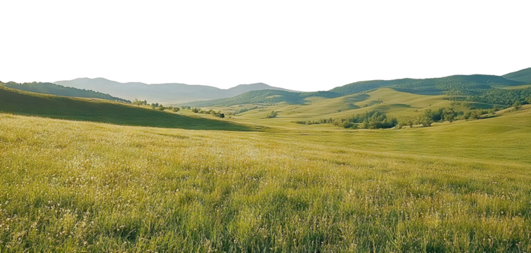 Scenic countryside landscape with grassy fields and distant hills, isolated on transparent cutout background