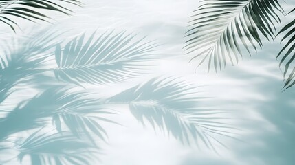Serene Palm Leaf Shadows on Light Blue Background
