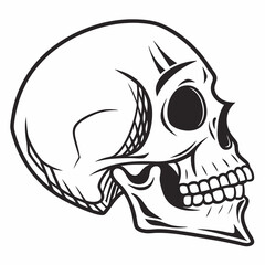 human skull vector illustration