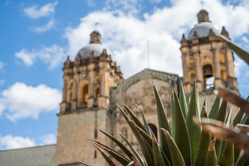Templo de Santo Domingo de Guzmán en el centro de Oaxaca méxico, iglesia rodeada de agaves para destilar mezcal