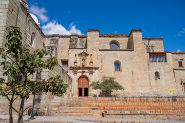 Templo de Santo Domingo de Guzmán en el centro de Oaxaca méxico, iglesia rodeada de agaves para destilar mezcal