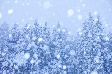 winter landscape with snow covered trees and falling snow