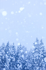 winter landscape with snow covered trees and falling snow