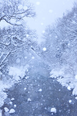river and snow covered trees in winter