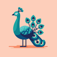 vector image of beautiful peacock