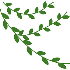 Vines Leaf Plant